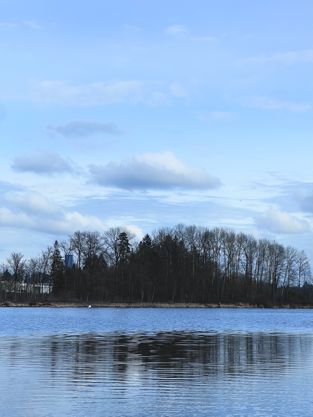 Journey #94 • WEAMi